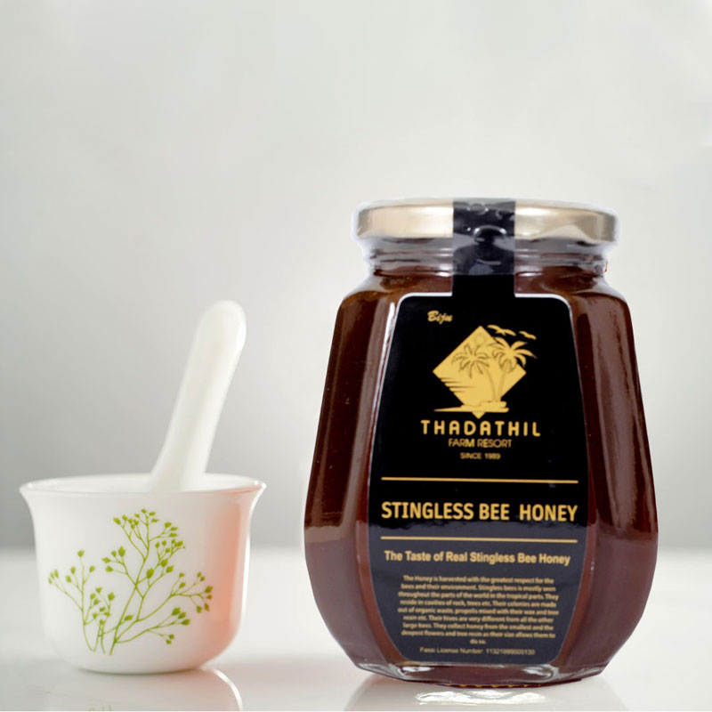 Stingless bee honey